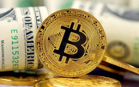 数字货币钱包在哪下载?数字货币钱包下载平台分享